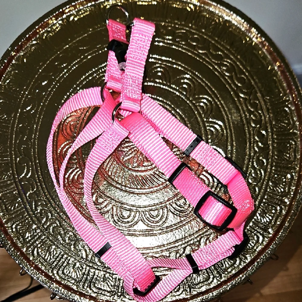Frisco Step In Back Clip Dog Harness, Pink, Small-Medium - Picture 4 of 7
